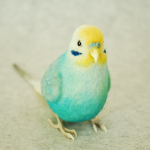 飼ってます缶バッジ 「セキセイインコ レインボー