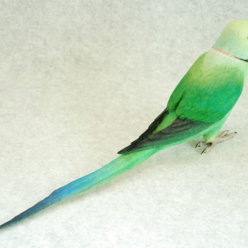 羊毛フェルト ワカケホンセイインコ ハンドメイド ストラップ