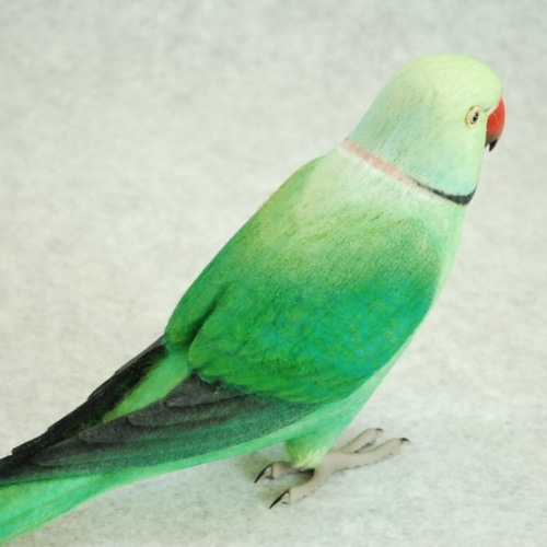 羊毛フェルト　ハンドメイド　ドアからワカケホンセイインコ ライフサイズ ワカケホンセイインコ☆ルチノーやブルーに変更