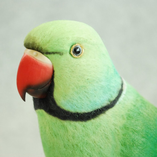 ワカケホンセイインコ 1807152 羊毛フェルト Primary Color