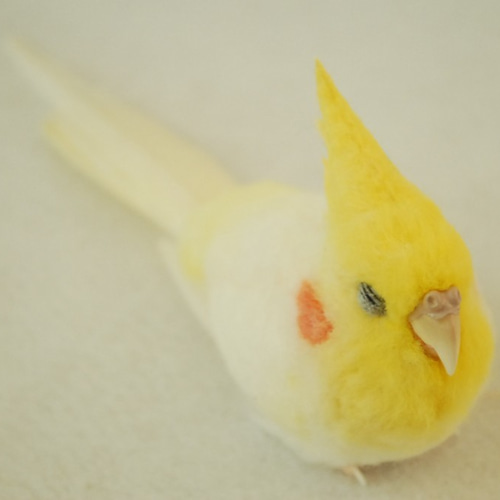 羊毛フェルト　　オカメインコ ライフサイズ♪ オカメインコ ノーマル♂☆ライトグレー 羊毛