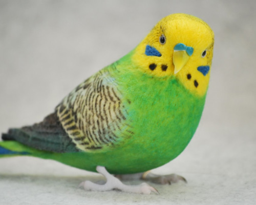 0_f8d536f14caba0e1553b8cf32abd