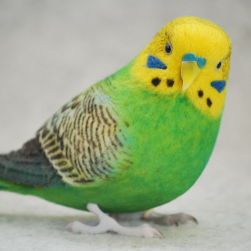 セキセイインコ 原種 オス 1709072 羊毛フェルト Primary Color Craft