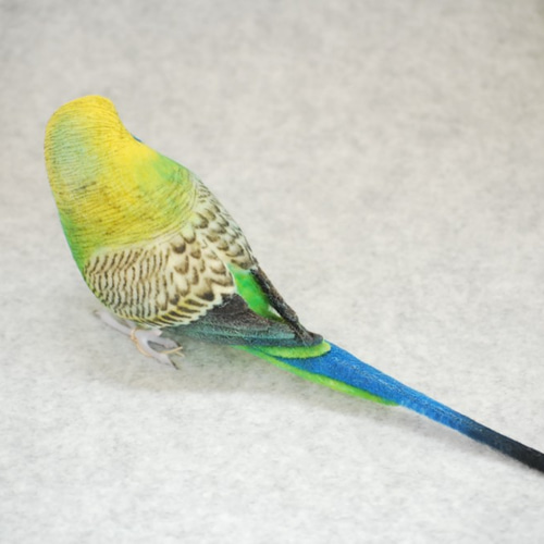 セキセイインコ 原種 オス 1709072 羊毛フェルト Primary Color Craft