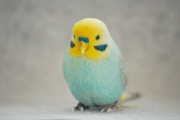 セキセイインコ レインボー エメラルド オス 1709094 羊毛フェルト