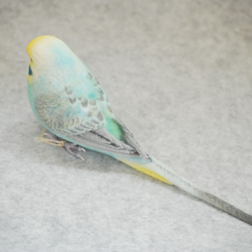 せきせいいんこ セキセイインコ 本の通販 by tknj｜ラクマ
