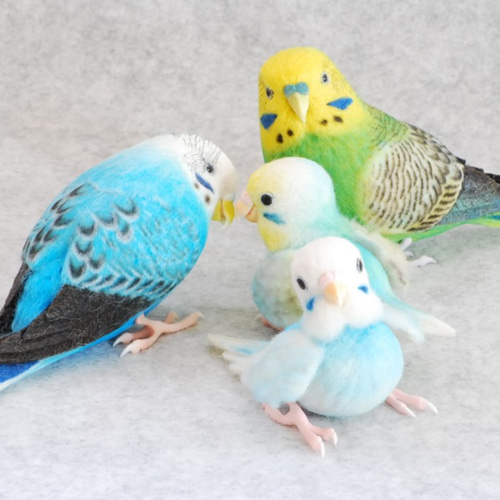 インコ一家 家族 セキセイインコ 羊毛フェルト Primary Color