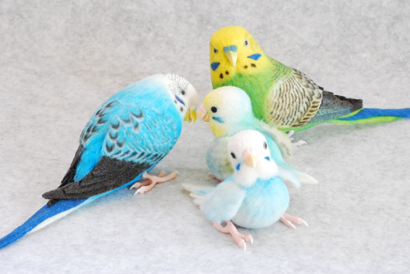 インコ一家 家族 セキセイインコ 羊毛フェルト Primary Color Craft