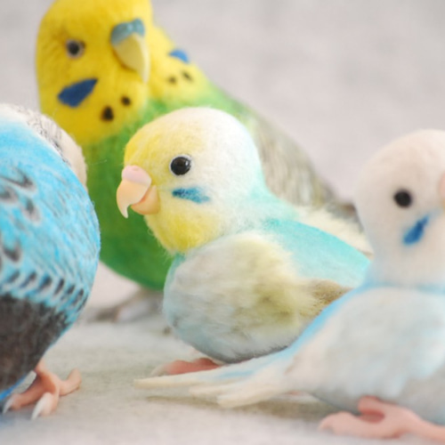 インコ一家 家族 セキセイインコ 羊毛フェルト Primary Color Craft