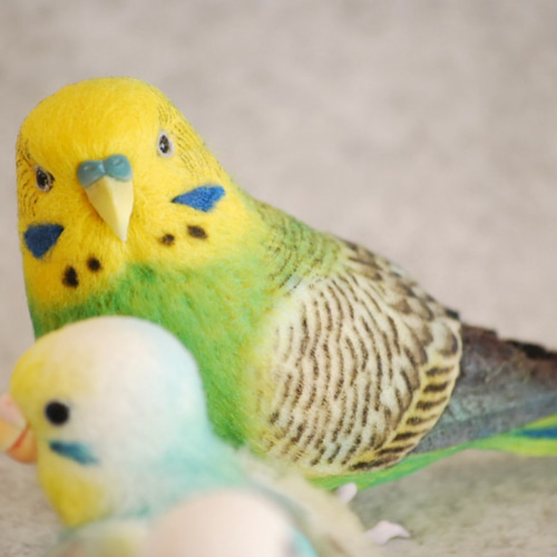 インコ一家 家族 セキセイインコ 羊毛フェルト Primary Color Craft