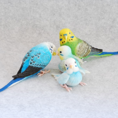 インコ一家 家族 セキセイインコ 羊毛フェルト Primary Color