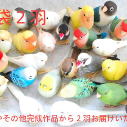 2019幸運袋樂趣2 Sekisei Inko Kozakuraneko Button Inco Fumigi其他成品 第3張的照片
