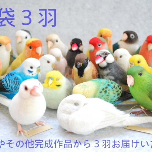 シーグラスアート 3羽の仲良しインコ 小鳥 うちの子グッズ 専用