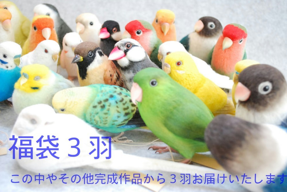 2019年福袋　お楽しみ３羽　セキセイインコ　コザクラインコ　ボタンインコ　文鳥　その他完成作品 5枚目の画像