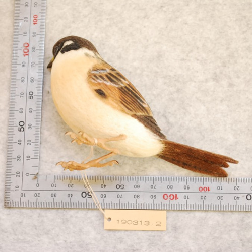 スズメ 雀 1903132 羊毛フェルト Primary Color Craft 通販 7075854