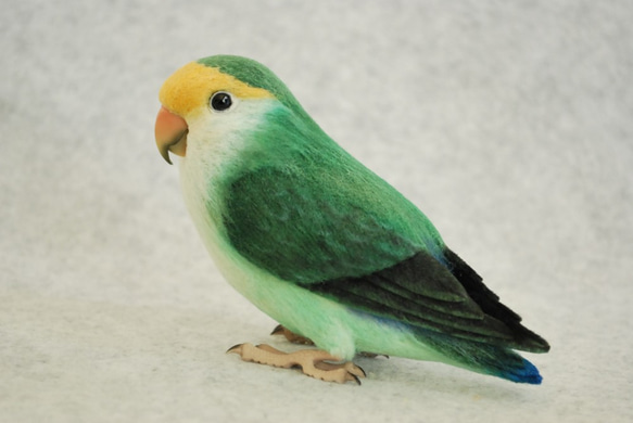 コザクラインコ シーグリーン 1811095 羊毛フェルト Primary Color
