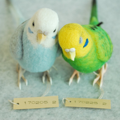 セキセイインコ ペア 1702052 1702252 羊毛フェルト Primary Color