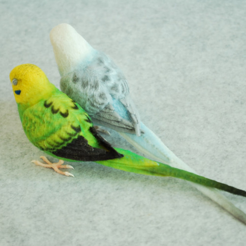 セキセイインコ ペア 1702052 1702252 羊毛フェルト Primary Color
