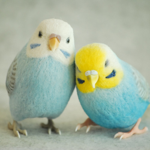 セキセイインコペア 水色 レインボー ウイング 羊毛フェルト Primary