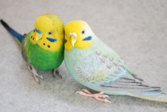 セキセイインコペア 原種 レインボー エメラルド 羊毛フェルト Primary