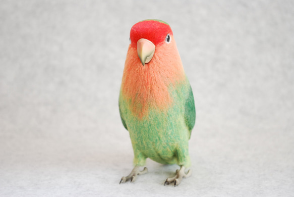 羊毛フェルト　サクラインコ it-50f15ea4bb5ce-1200.jpg