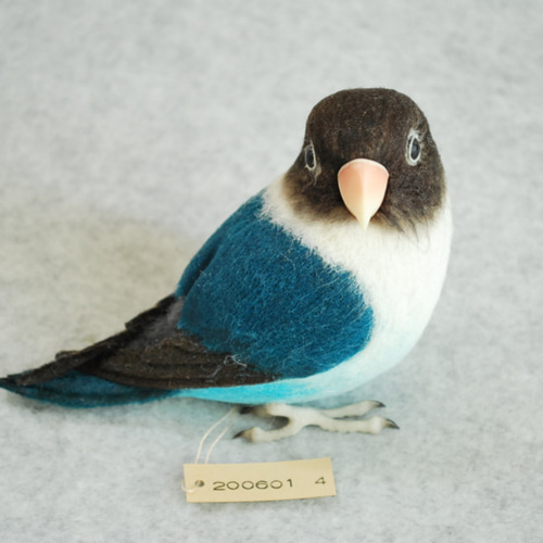 ブルーボタンインコ 2006014 羊毛フェルト Primary Color Craft 通販