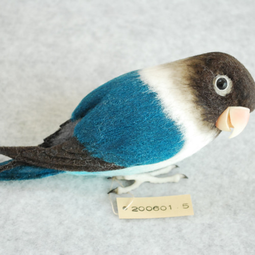 専用ページ　羊毛フェルト　傘でお出かけボタンインコ　鳥 it-6616902d66eab-1200.jpg