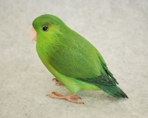 0_5ea3e04ed24e3ce34e6e147c4546