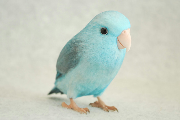 マメルリハ ブルー メス 1810284 羊毛フェルト Primary Color Craft