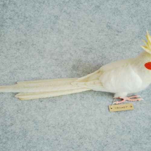 オカメインコ ルチノー 1604073 羊毛フェルト Primary Color Craft