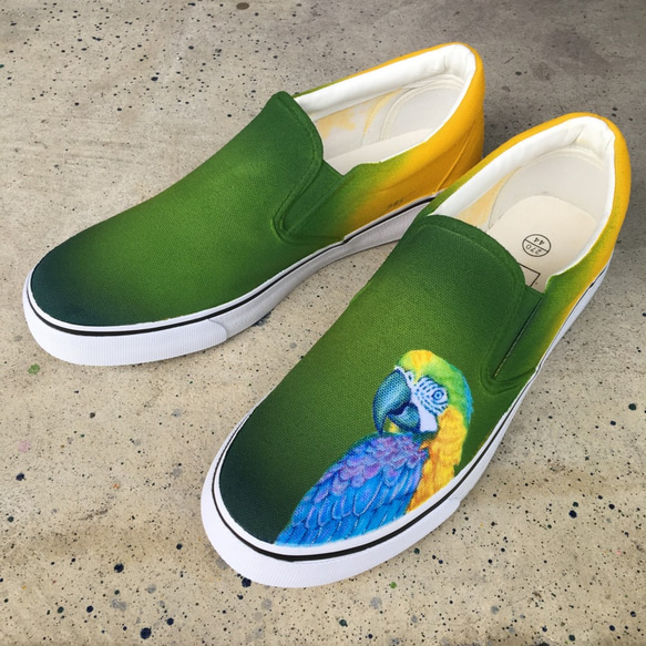 385黃綠色的鸚鵡圖案鳥藝術防滑運動鞋女裝男裝 第1張的照片