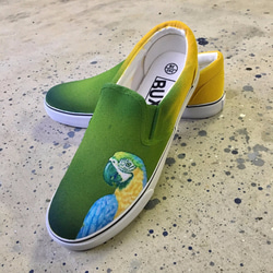385黃綠色的鸚鵡圖案鳥藝術防滑運動鞋女裝男裝 第8張的照片