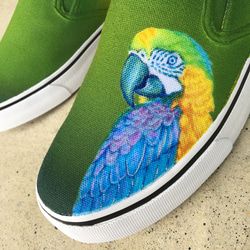 385黃綠色的鸚鵡圖案鳥藝術防滑運動鞋女裝男裝 第3張的照片