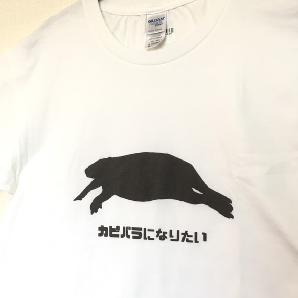 カピバラになりたい人のためのTシャツ　メンズLLサイズ　※仕様変更あり 1枚目の画像