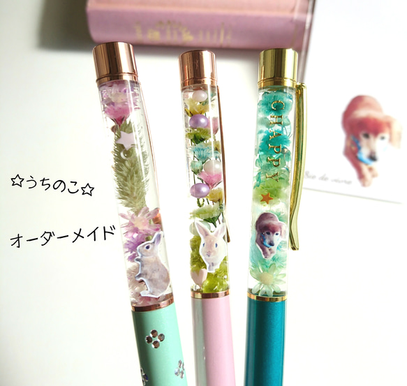 オーダー休止中/(1名様限定)モニター価格《オーダーメイド》ペット 