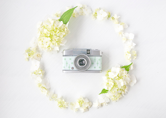 OLYMPUS PEN-Sherbet series-Mintgreen-2014 2枚目の画像