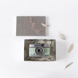 小型フィルムカメラ／OLYMPUS PEN-EES(mintgreen&gray polka-dot) 1枚目の画像