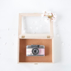 小型フィルムカメラ／OLYMPUS PEN-EE(春の世界シリーズ) 1枚目の画像