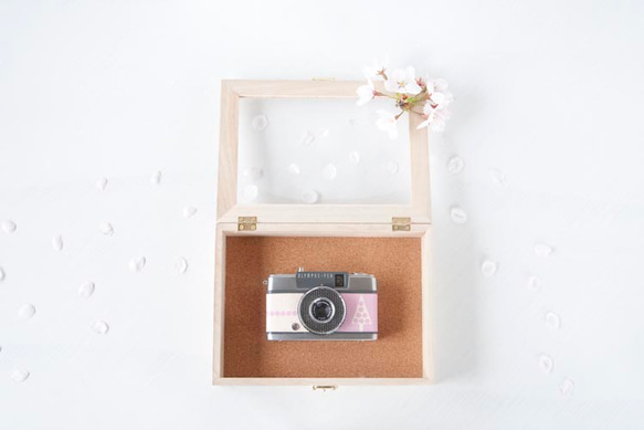 小型フィルムカメラ／OLYMPUS PEN-EE(春の世界シリーズ) 1枚目の画像