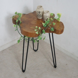 サイドテーブル 切り株 天板 木製 アイアン脚 切株 木目 おしゃれ 天然