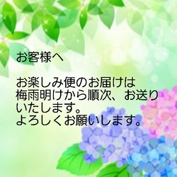 初回限定♪送料無料♪お一人様一袋限り  お試し結びのり 4枚目の画像