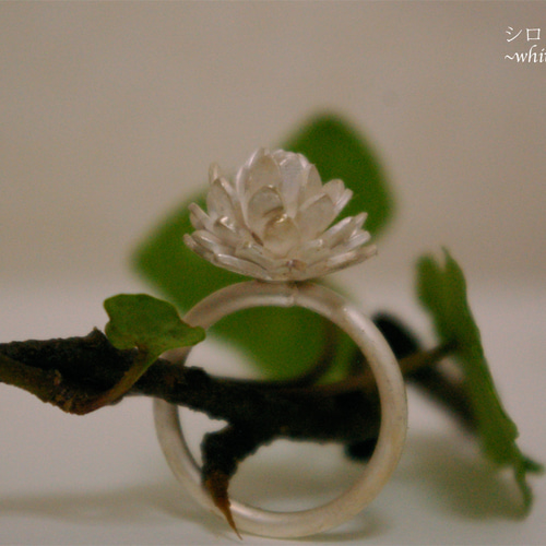 シロツメクサの指輪 ~white color~ 指輪・リング erito jewelry 通販