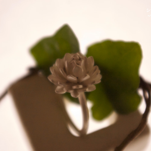 シロツメクサの指輪 ~white color~ 指輪・リング erito jewelry 通販