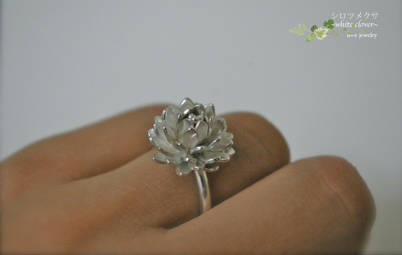 シロツメクサの指輪 ~white color~ 3枚目の画像