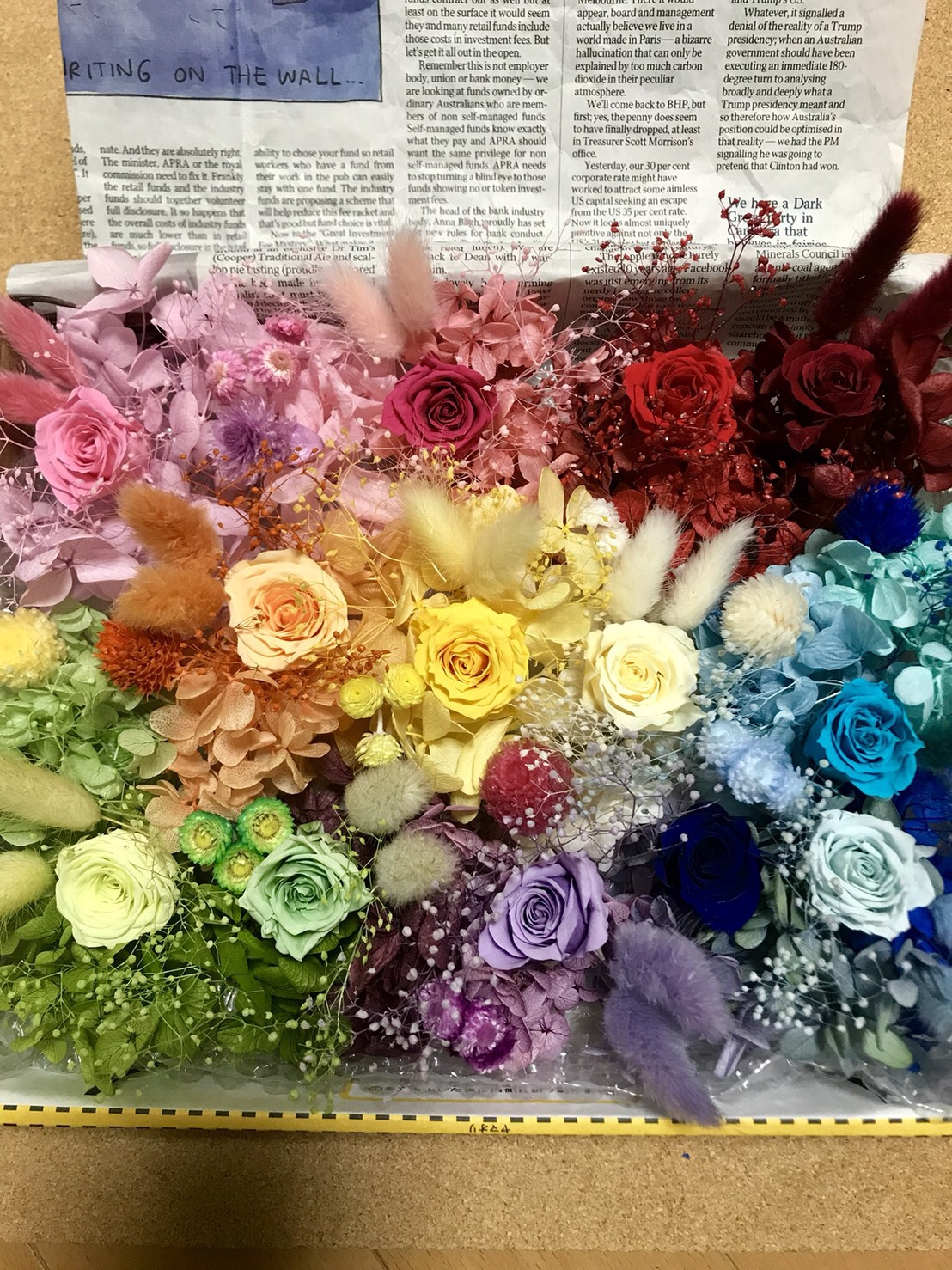 訳あり プリザーブドフラワー バラ 花材 セット プリザーブドフラワー 花材 とりよせ品 ローズ・サラ カラーアソート(9