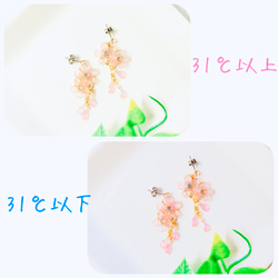 〜桜〜 色が変わるシリーズ　マスクチャーム 春色新作2023 5枚目の画像