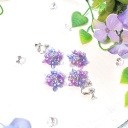 温度で色が変わる？！ 紫陽花 イヤリング ピアス 6輪 シルバー ピアス 