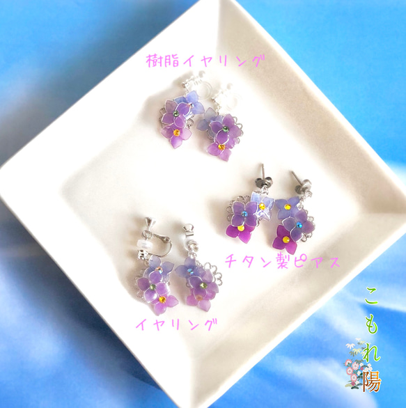 顏色會隨著溫度變化嗎？ ！繡球花銀三朵耳環 浸花 第8張的照片