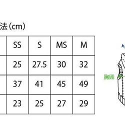 tokkuriフードパーカー グレーボーダー　犬　服　ドッグウェア　【MSサイズ】 6枚目の画像