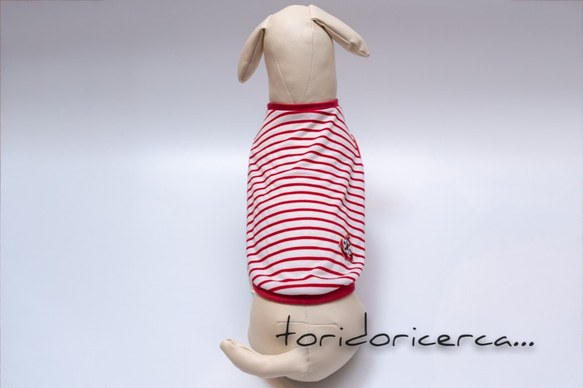マリン　レッド×ホワイト　Tシャツ2100円　タンクトップ1800円　犬服　【3S〜2L/ダックス/フレブル】 4枚目の画像